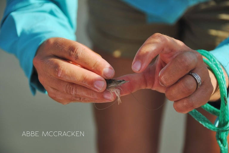 tour guide shows children a shrimp