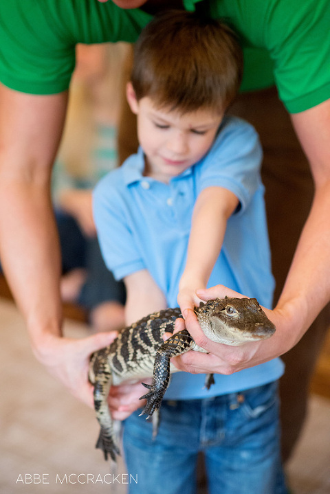 birthday boy holding a baby alligator with the help of staff from Cold Blooded Encounters