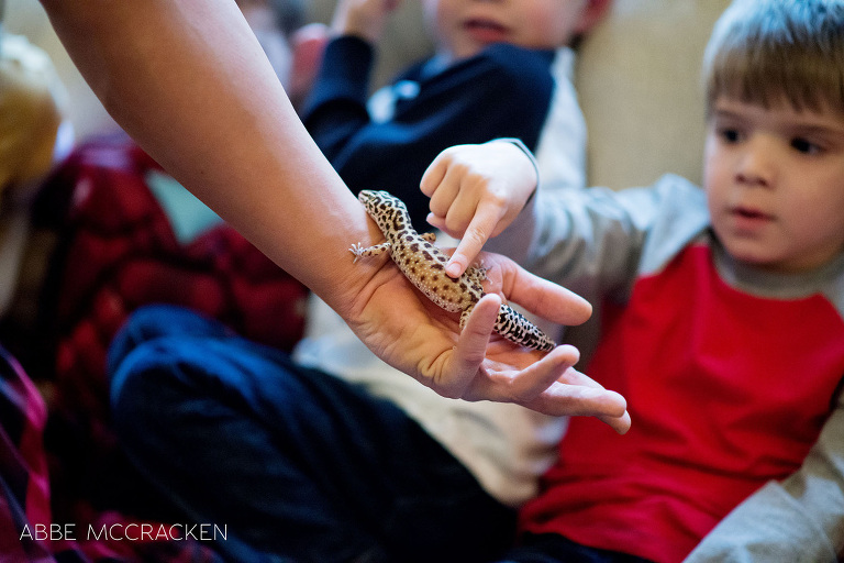 a child touches a reptile during hands-on part of birthday party