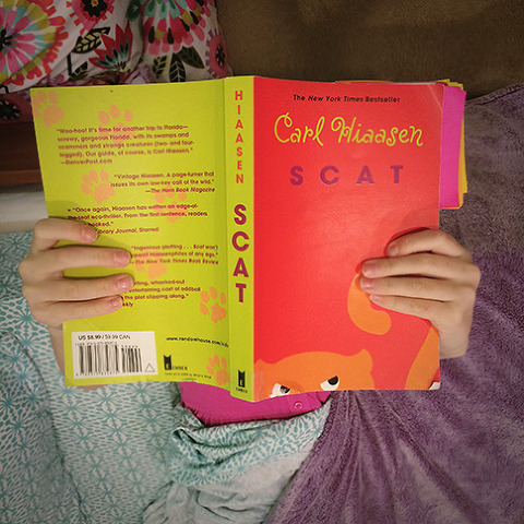 iPhone image - child reading Scat by Carl Hiaasen from Abbe McCracken's Instagram 365