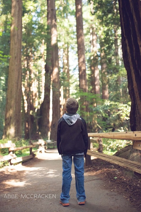 Project 52 boy in awe of muir woods, family vacation memories
