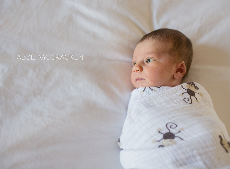 wide-eyed baby boy on family bed, swaddled in aden & anais monkey blanket