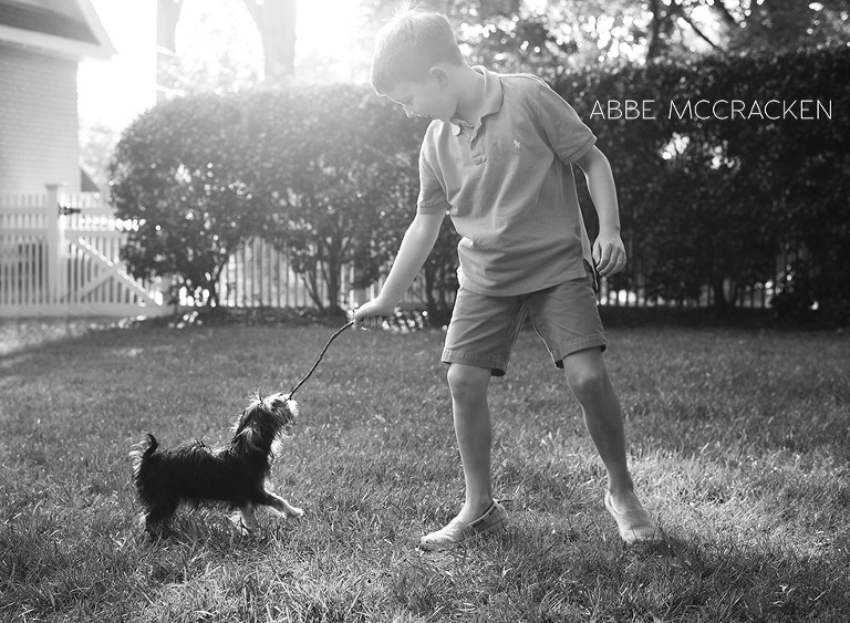 boy and his dog playing in the backyard - gorgeous summer evening light