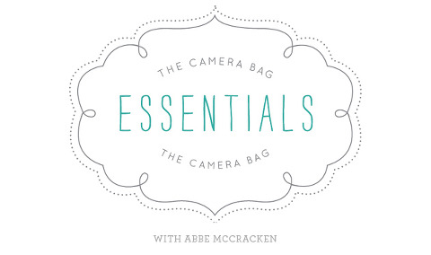 National Association of Professional Child Photographers feature on what's in Charlotte professional family photographer Abbe McCracken's camera bag