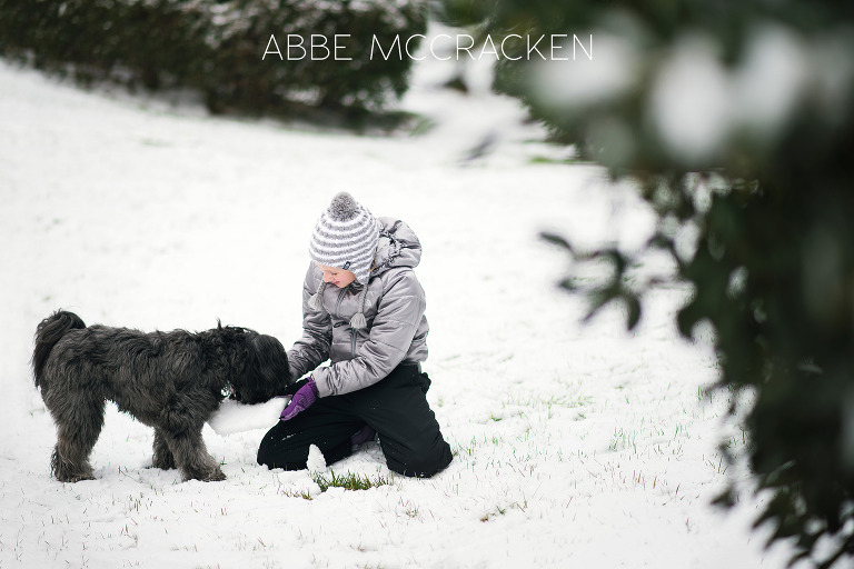 A girl and her dog enjoying the Charlotte NC snow by Charlotte Children's Photographer Abbe McCracken