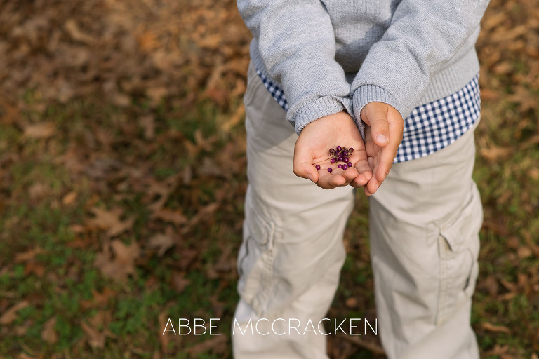 Young boy holding purple berries he found in a local park - Charlotte, NC