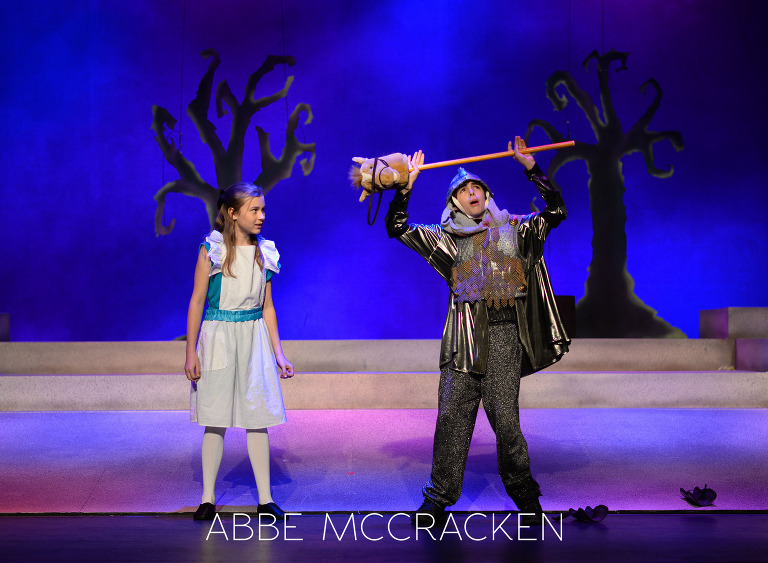 Alice in Wonderland, Matthews Playhouse of the Performing Arts - Matthews, NC
