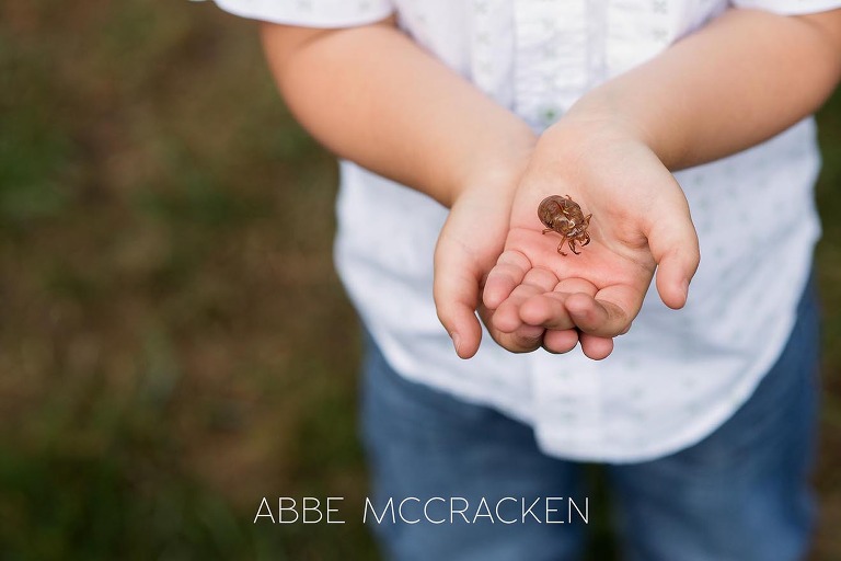 Summer family photography session - close up of a boy holding a cicada shell