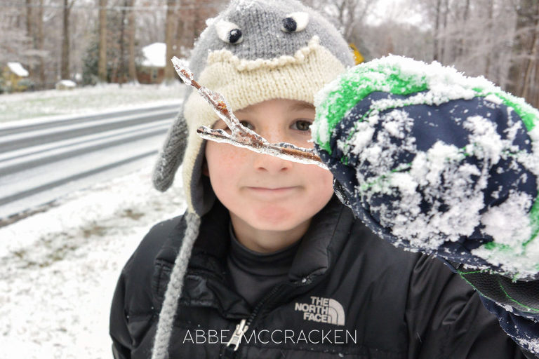 Photo from ice storm in Charlotte NC January 2016