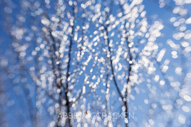 Photo from ice storm in Charlotte NC January 2016