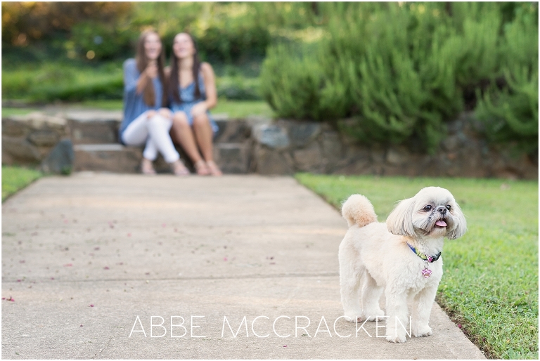 Family portraits with high school children in Charlotte's Independence Park