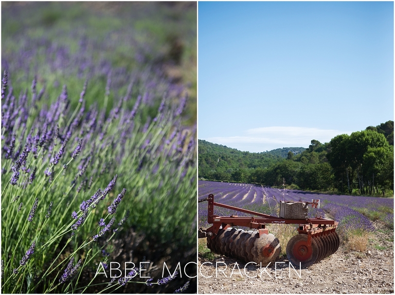 Personal family photos from summer trip to France - Abbe McCracken Photography | Charlotte, NC