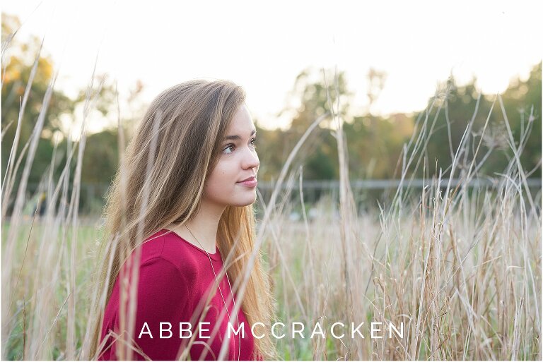 high school senior in red dress sitting among the wheat grasses, looking towards the sky