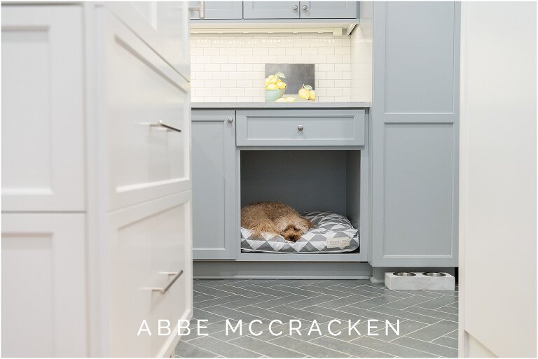 Family dog relaxing in his built in laundry room bed